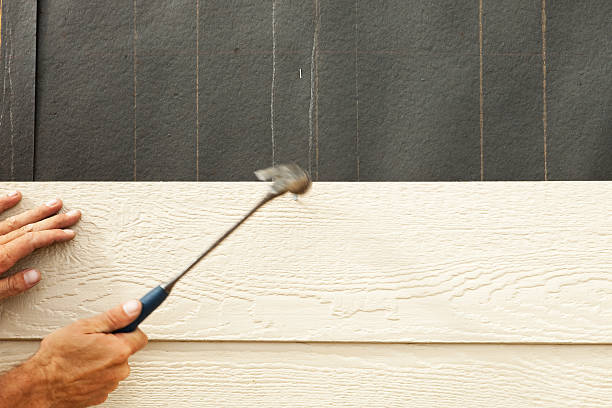 Best Steel Siding Installation  in Forest Hills, PA